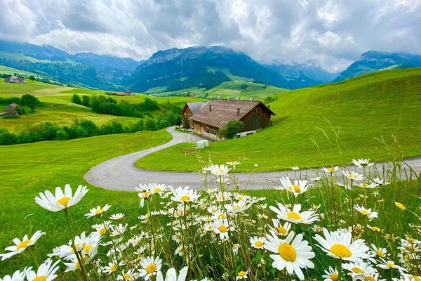 Switzerland's Picturebook Tour: Farm, Alps & Rhine Falls!