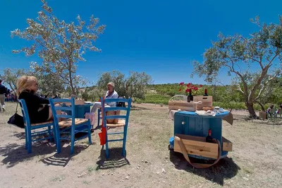 Etna Wine Tour: Volcanic Views & Sicilian Flavors