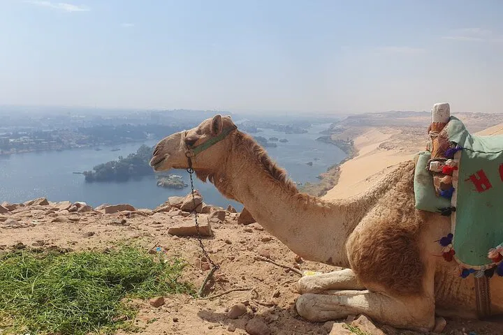img0
