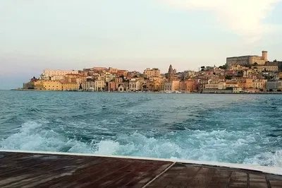 Image 2
