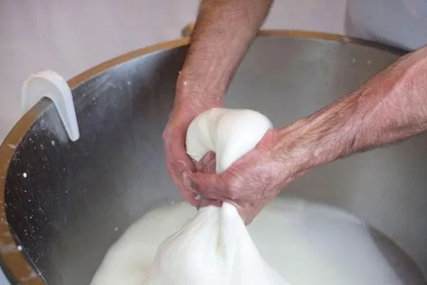 Cilento Culinary & Historical Immersion: A Journey of Knowledge and Flavors