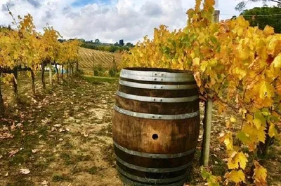 Lucca: Chianti Wine & Vinci Small Group Tour