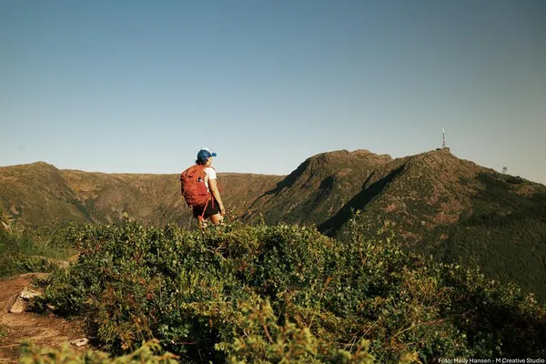 Uncover Bergen's Secrets: An Exclusive Hiking Adventure