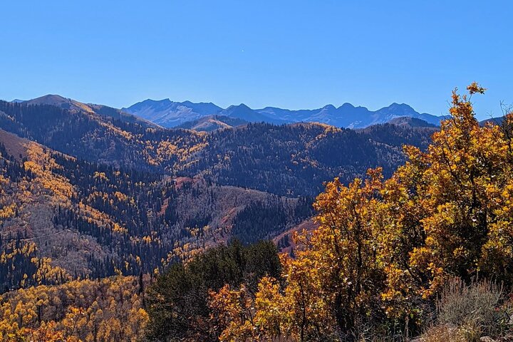 Experience Image img2