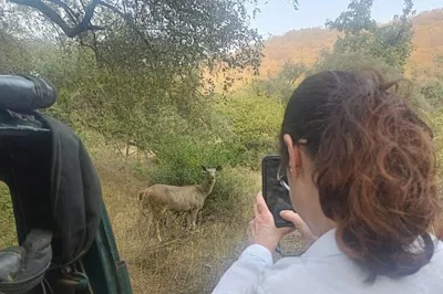 Sariska Tiger Safari: 2-Day Wildlife & Heritage Tour from Delhi