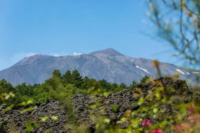 Taormina & Mount Etna Tour from Cefalu: Volcano Views!