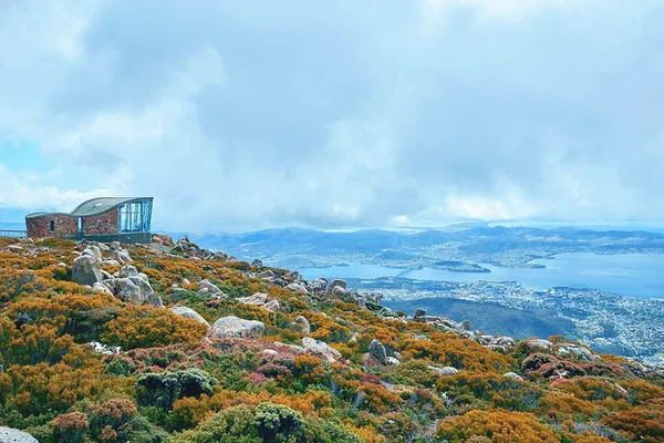 Hobart's Highlights: A Whirlwind Shore Excursion Adventure
