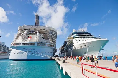 Stress-Free Port Transfer: Rome to Civitavecchia Cruise Terminal