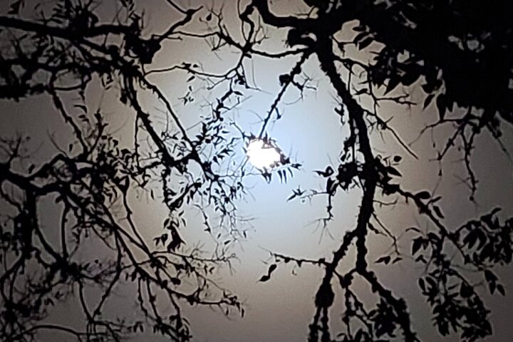 Galveston's Ghostly & Sinful Past: An Adults-Only Dark of the Moon Adventure