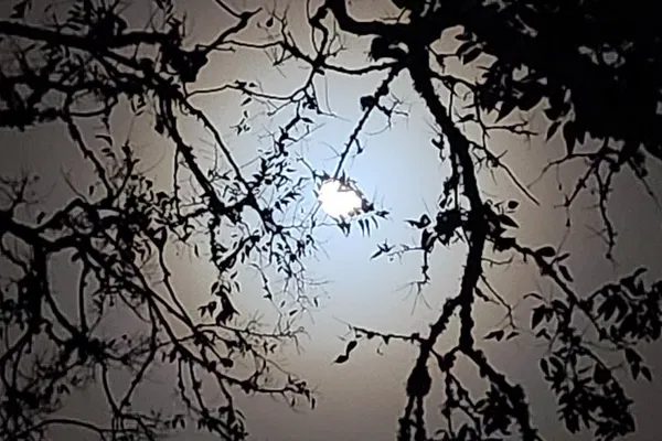 Galveston's Ghostly & Sinful Past: An Adults-Only Dark of the Moon Adventure