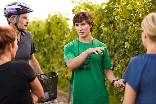 Cycle Through Vineyards: A Guided & Self-Guided Marlborough Wine Adventure