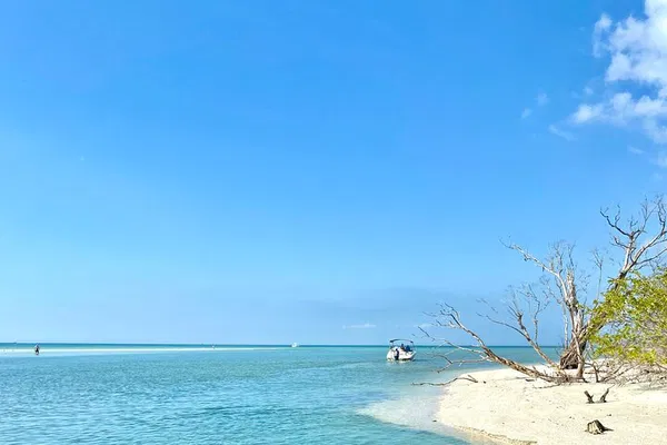 Tiny Tiki Tour: Your Private Beach Escape from Fort Myers!