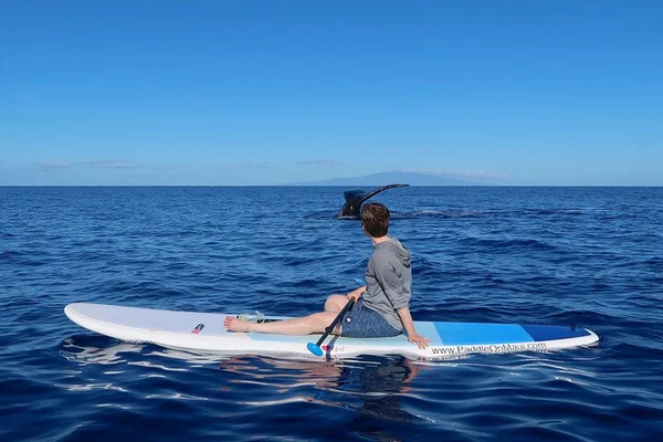 Maui's Humpback Whales: Private Paddleboard Adventure for All!
