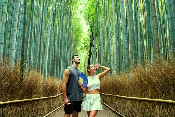 Kyoto: Arashiyama's Bamboo Forest, Monkeys & Matcha