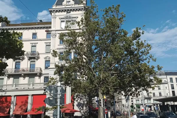 Zurich Walking Tour: Uncover Hidden Gems & City Secrets