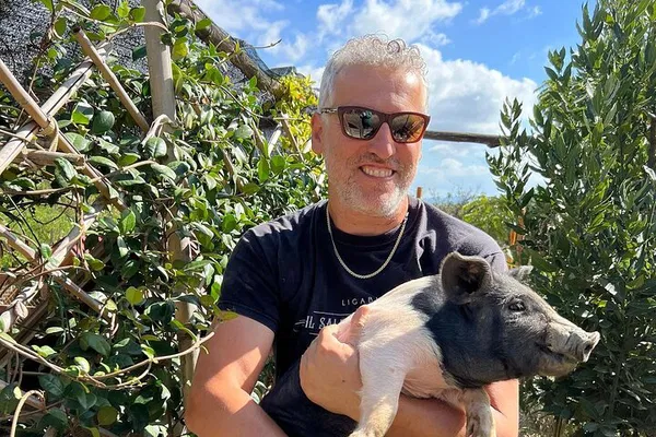 Montepulciano Farm Tour: Pigs, Lunch & Wine!