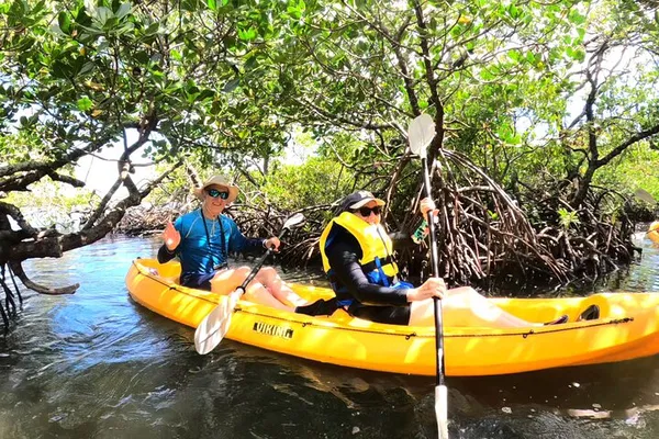 Noosa's Aquatic Wonders: Kayak Through Hidden Waterways & Wildlife