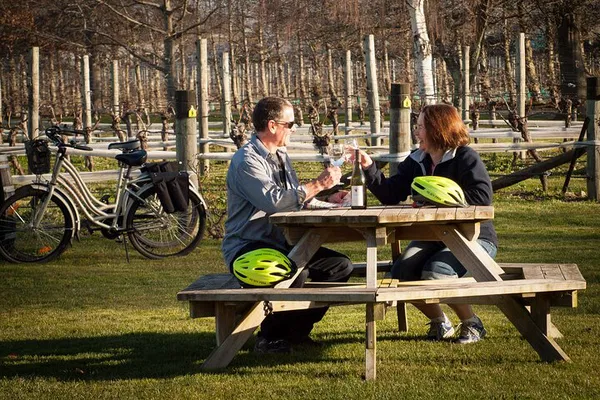 Cycle Through Vineyards: Self-Guided Wine Bike Tours in Renwick