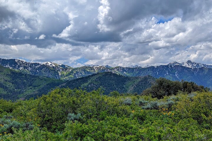 Experience Image img1