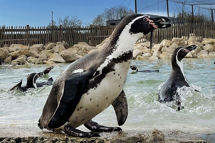 Experience Image img3