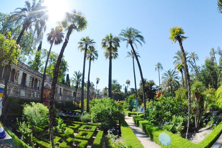 Experience Image img2