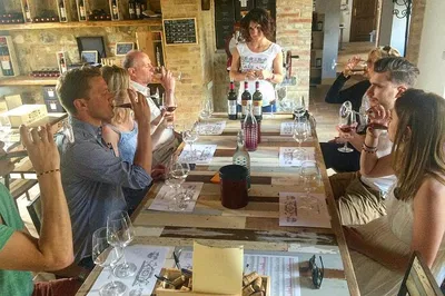 Savor the Terroir: Brunello Wine Tour with Expert Sommelier