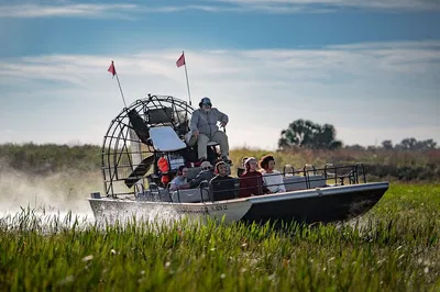 Ultimate Everglades Adventure: Airboat Ride, Gems & BBQ!