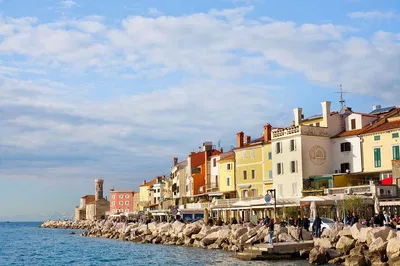 Piran & Slovenia Coast Tour: Koper Port, Wine Taste