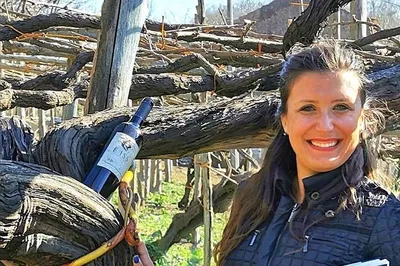 Unveiling Amalfi's Ancient Wine Secrets: A Pre-Philloxera Winery Experience