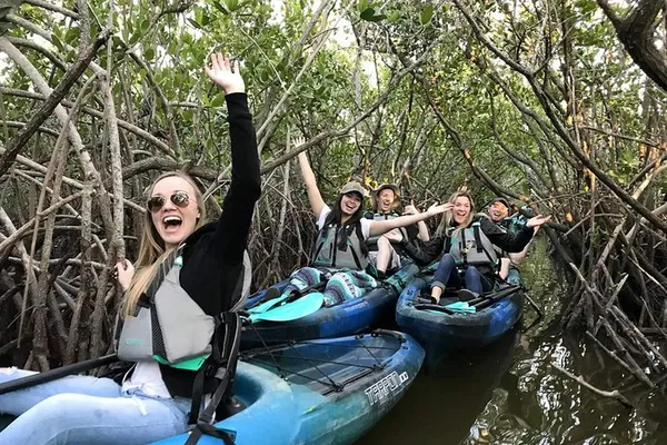 Cocoa Beach Kayak Adventure: Manatees, Dolphins & Mangrove Tunnels!
