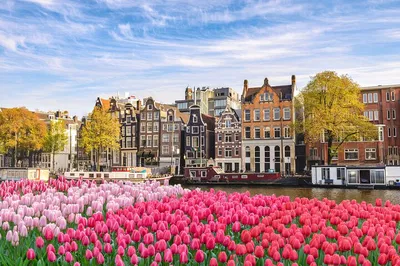 Effortless City Transfer: Rotterdam to Amsterdam Private Ride
