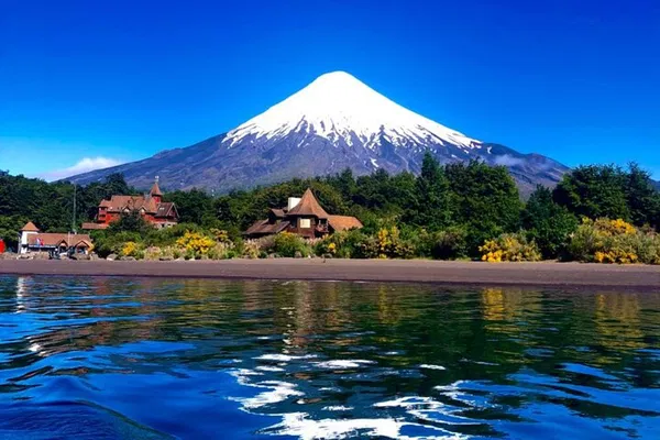 Majestic Mount Fuji: A Cherry Blossom Private Guided Tour