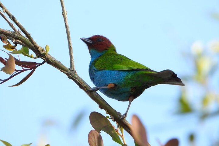 Experience Image img3