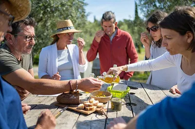 Languedoc's Wine & Olive Charm: A Half-Day Montpellier Escape