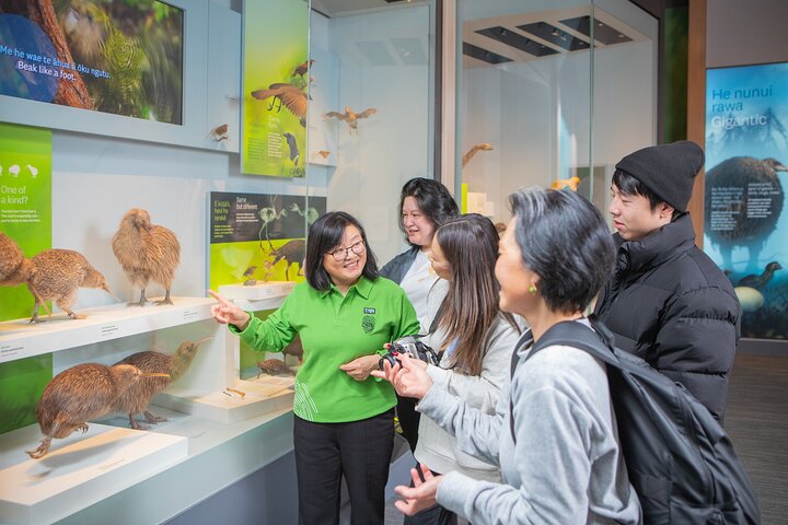 Experience Image img1