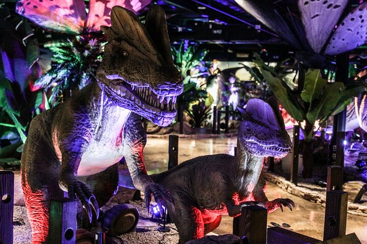 Experience Image img1