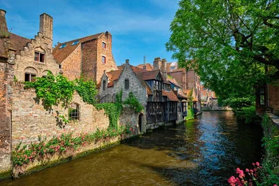 Unlock Bruges' Secrets: A Whirlwind 60-Minute Local Tour