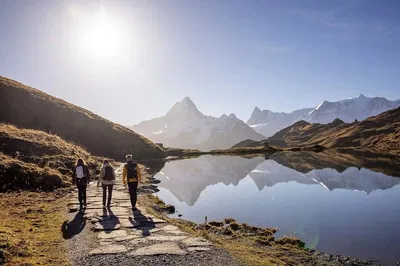 Unforgettable Swiss Alps Adventure: Private Guided Trip to Grindelwald First
