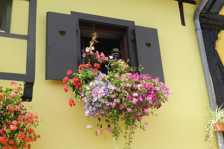 Experience Image img1