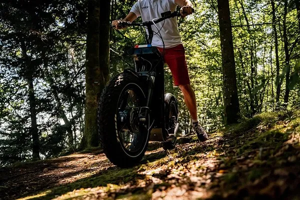 Cognac's Royal Stroll: Castles, Vineyards & History Unveiled!