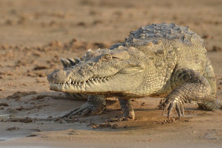 Experience Image img4