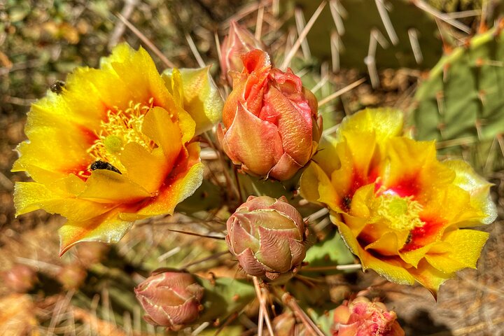 Experience Image img2