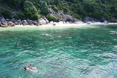 Uncover Marine Wonders: Cham Island Snorkeling Adventure