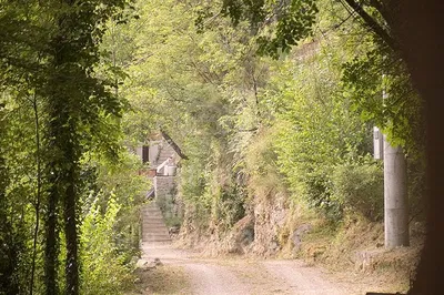 Tuscan Time Travel: Wine, Lunch & 16th-Century Ironworks Adventure