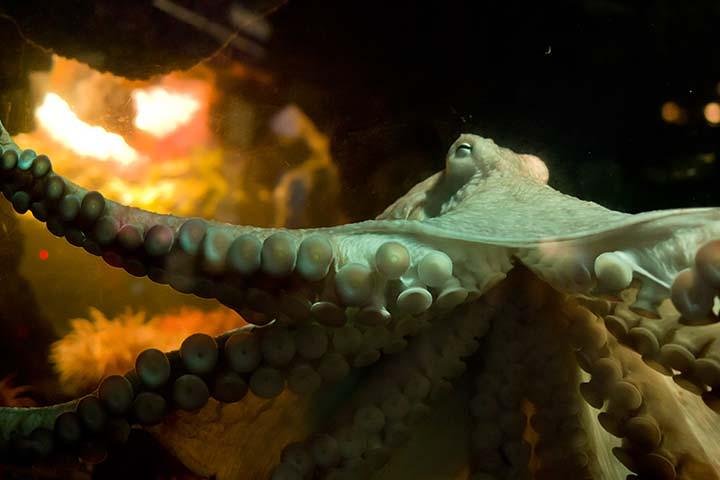 Experience Image img2