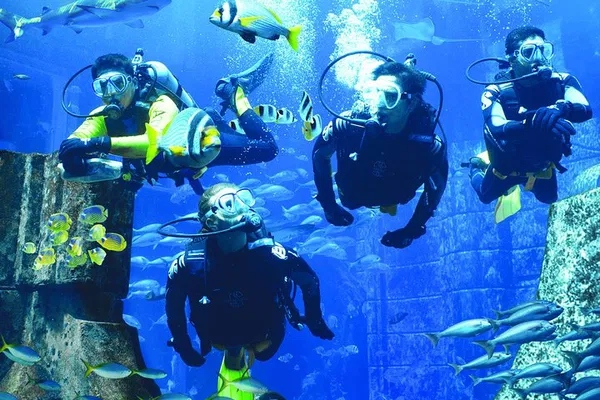 Dive into Adventure: Dubai's Lost Chambers Aquarium Scuba Experience