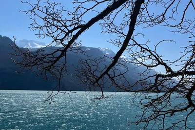 Interlaken, Lauterbrunnen & Blausee Private Tour