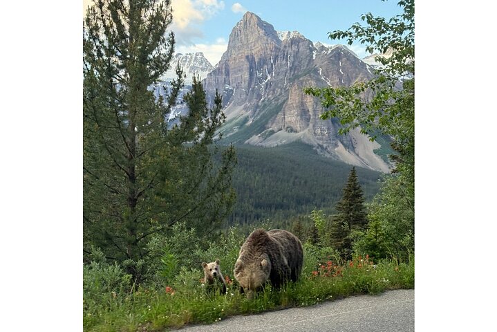 Experience Image img3