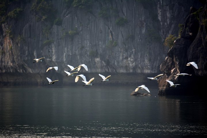 Experience Image img3