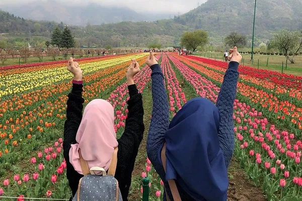 Unveiling Kashmir's Splendor: A Luxurious 4-Day Private Tour